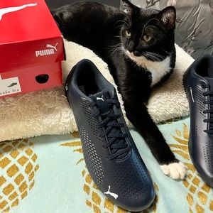 Puma mens BMW MMS drift cat 5 ultra II